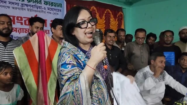 নানা খরচে সরকার বিপর্যস্ত, সরকারকে দোষ দিই না: রুমিন ফারহানা
